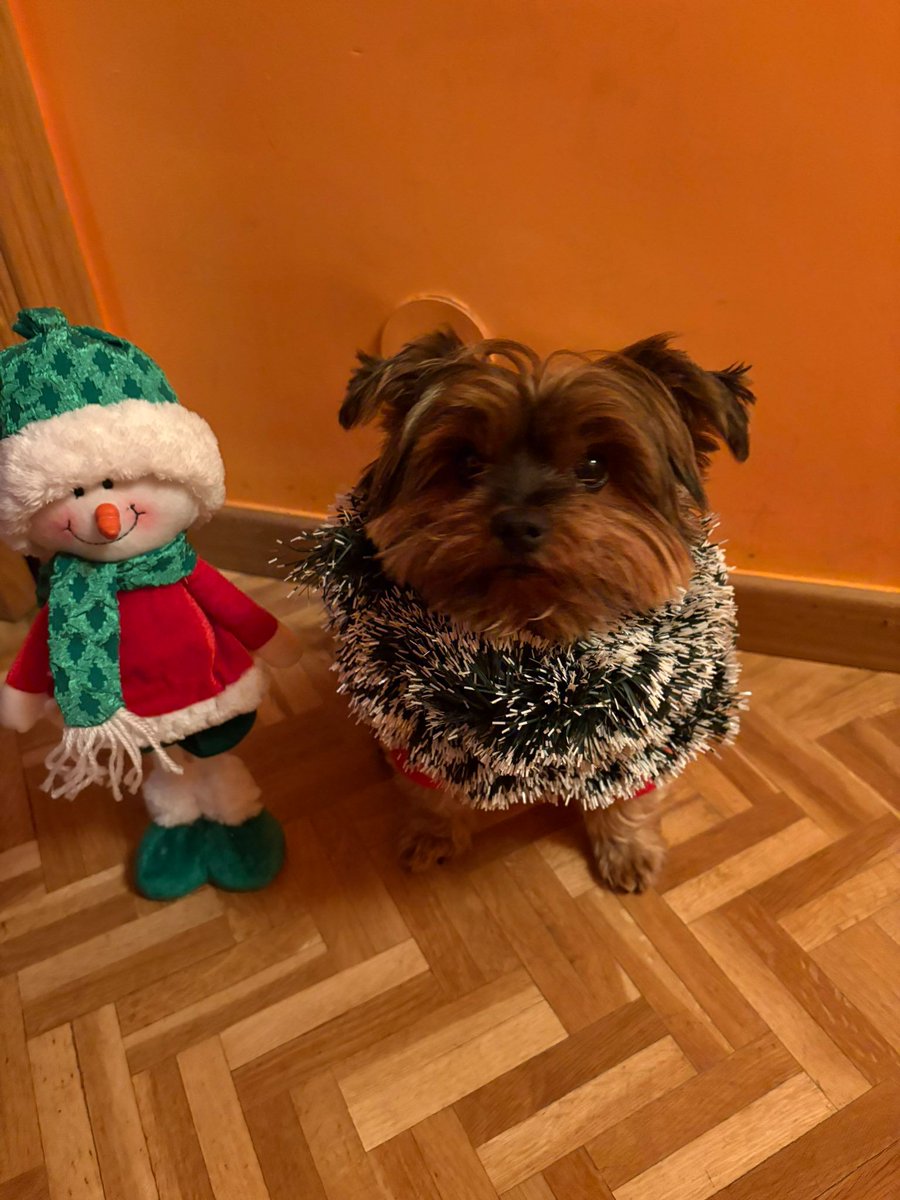 𝗠𝗥𝟭 tweet media