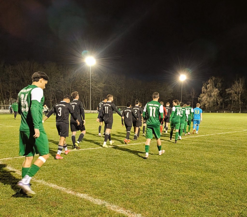 Michael Domann ⚽ (Erstligist) tweet media