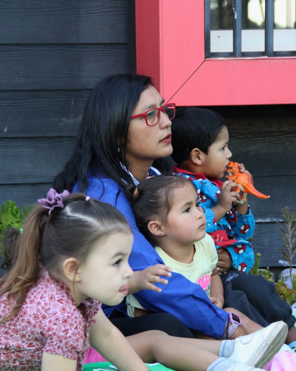 JUNJI Metropolitana tweet media