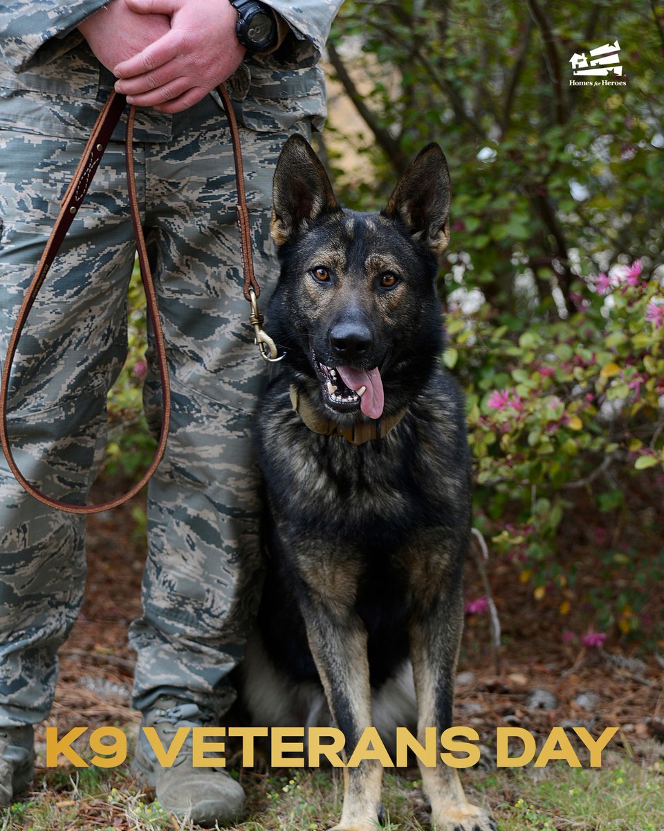 CJM Property Management tweet media