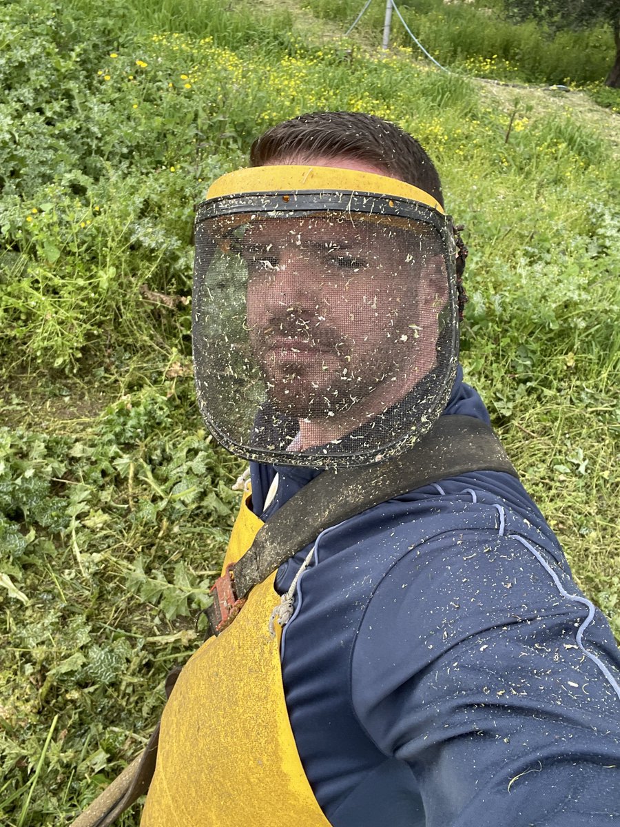 Radagonnn86 tweet media