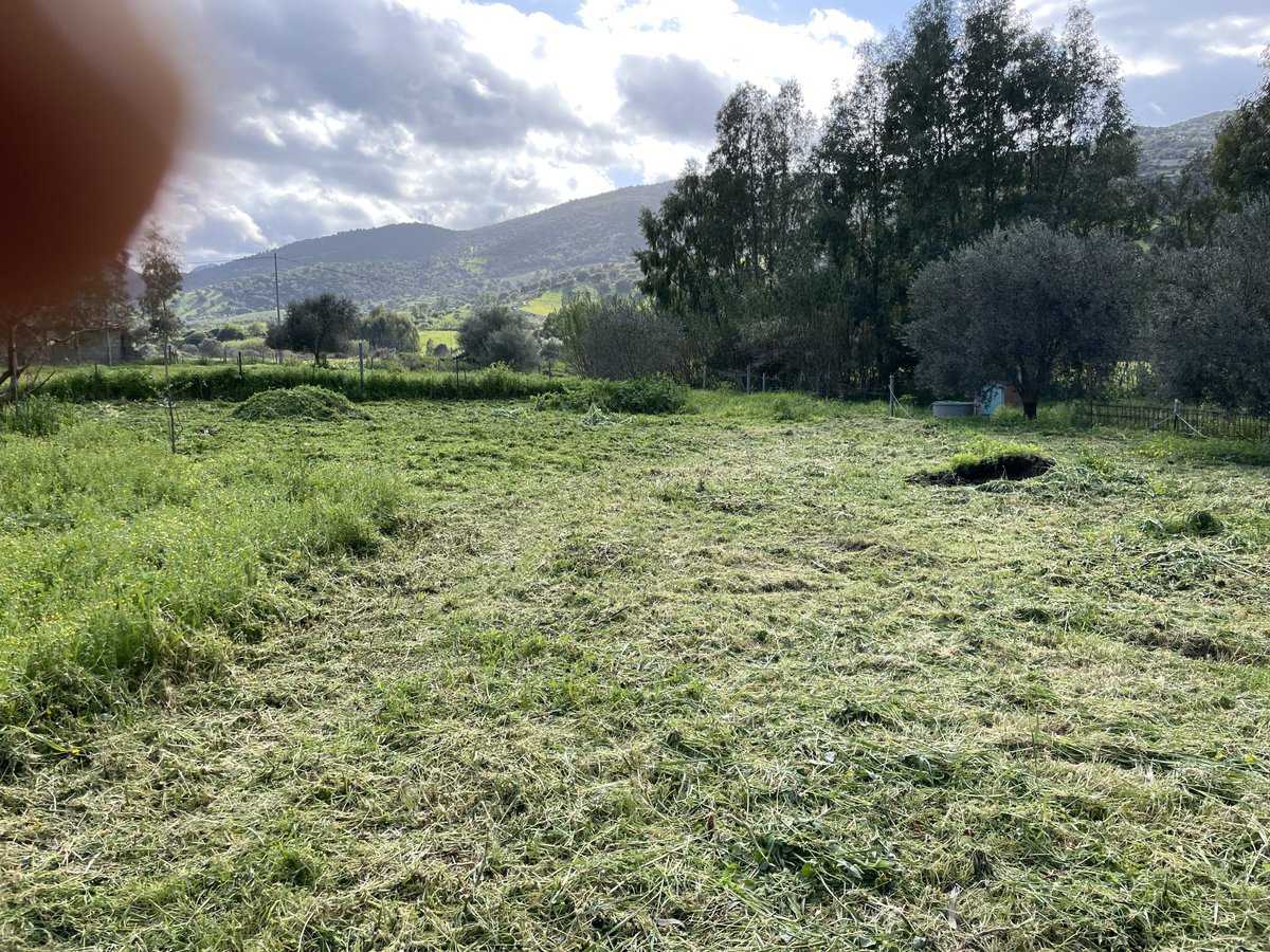 Radagonnn86 tweet media