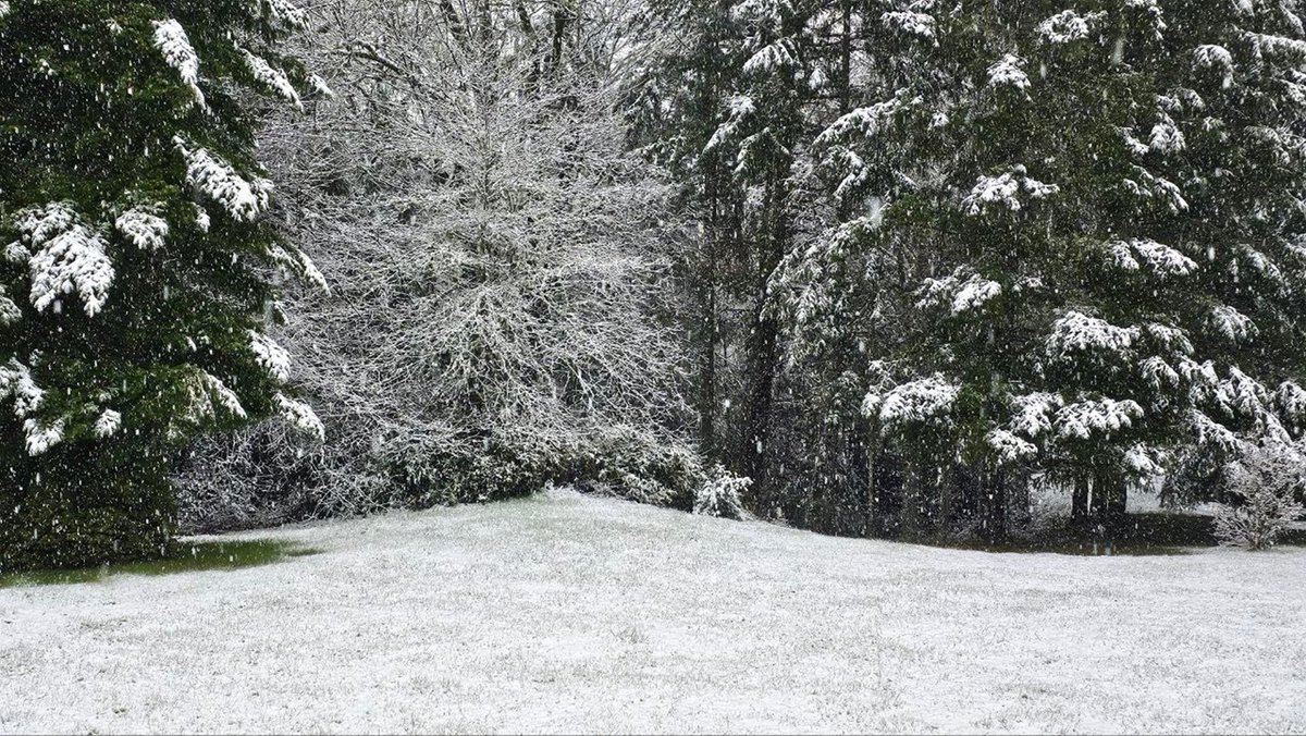 Pirate Software tweet media