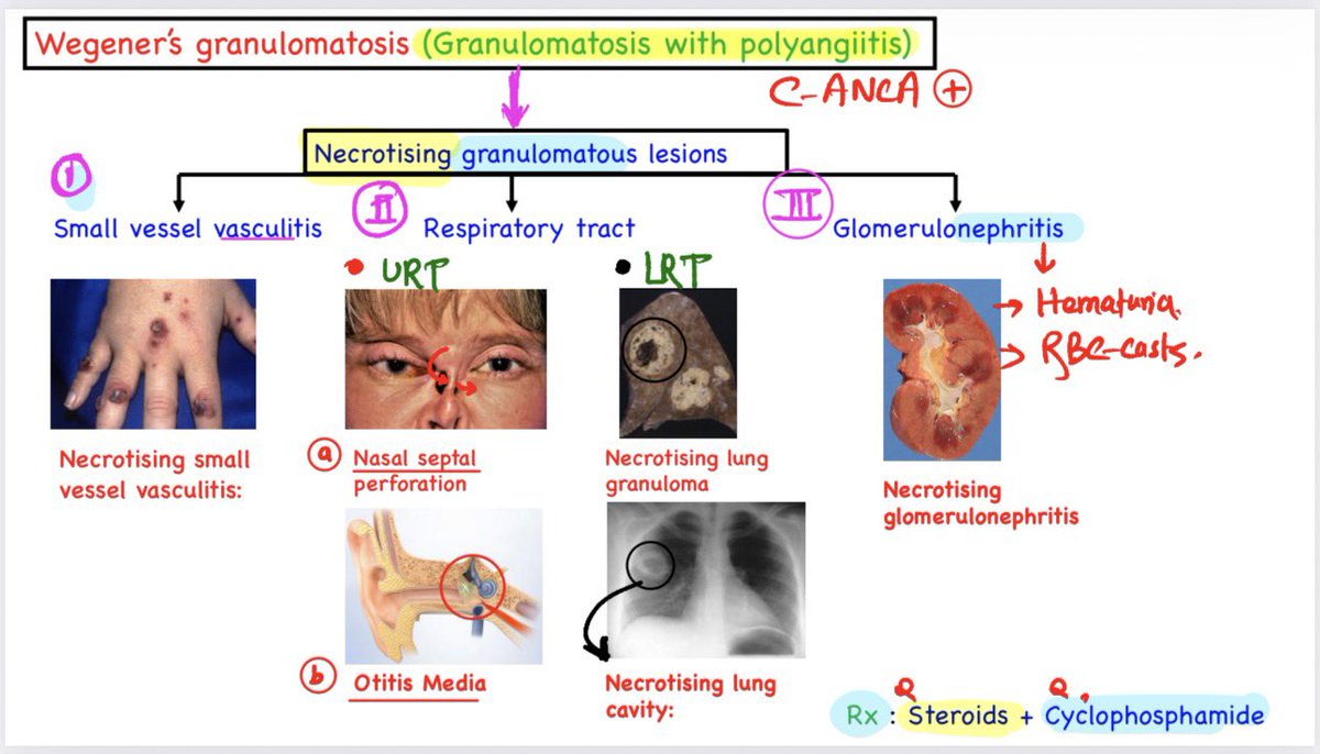 Dr Devesh Mishra tweet media