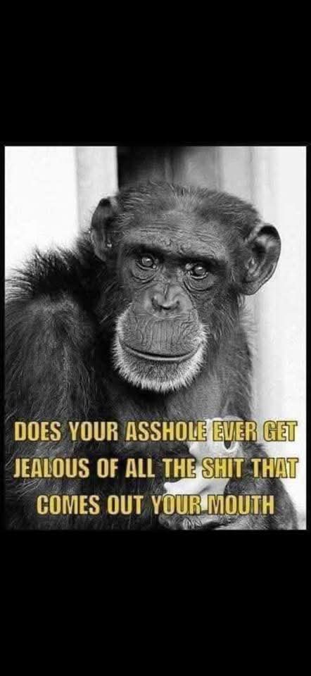 tg9861's tweet photo. @JoJoFromJerz https://t.co/nvVlhTpv6c