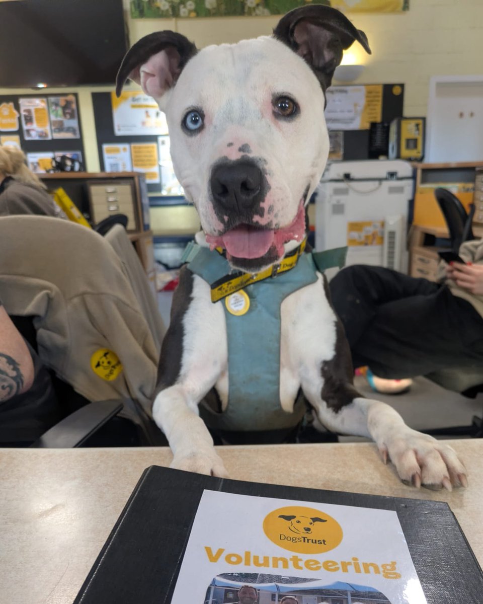 Colin 🐛 is helping with volunteer recruitment today! He has worked out that we need more volunteers to help with laundry 🧺 on Wednesdays, Thursdays and Fridays between 12pm at 3pm. Could you lend a hand?

If you would like to help please get in touch at: