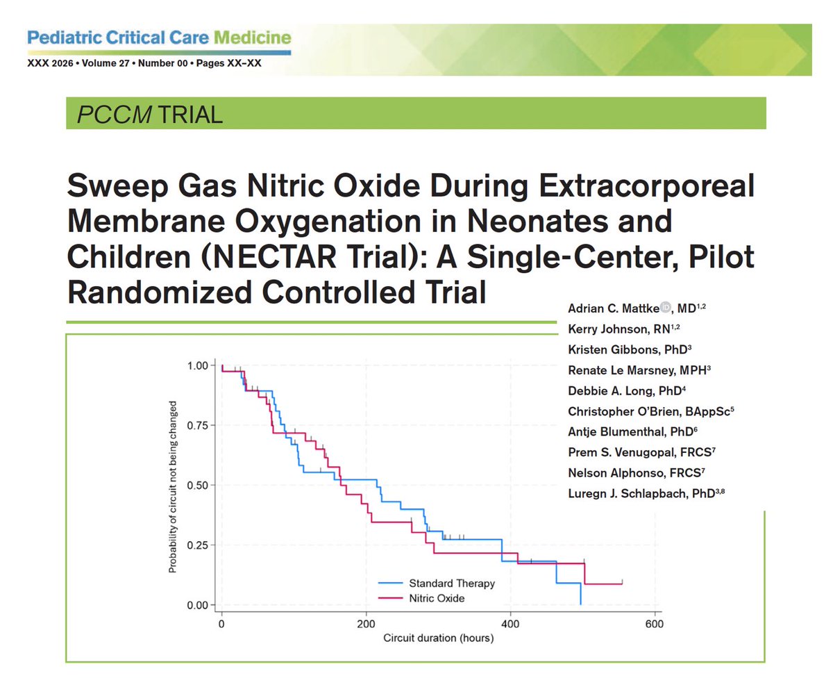 M Velia Antonini tweet media