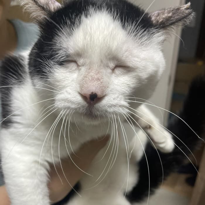 쥬리👾💨 tweet media