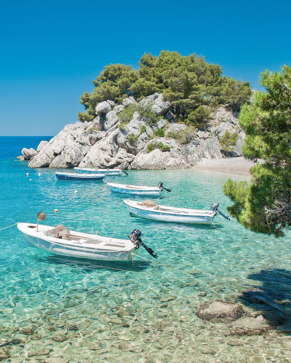 Views and Travel tweet media