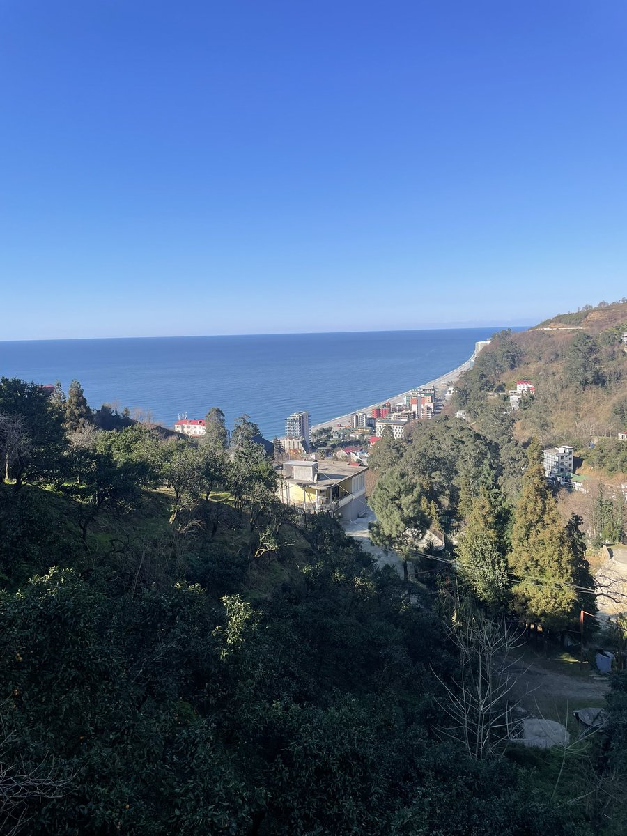 りゅうせい@好奇心と食欲が旺盛な人✈️🍙 tweet media