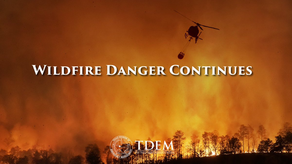 Texas Division of Emergency Management tweet media