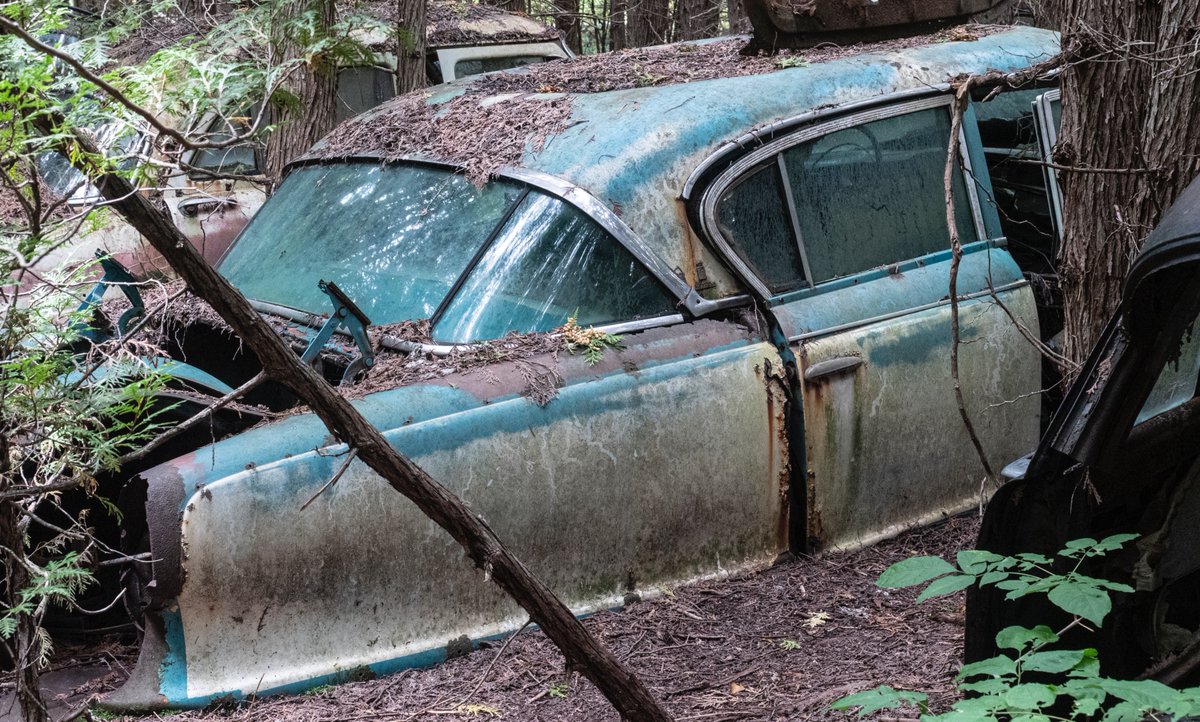 Exploration of the Forgotten.
<a href="/abandoned/">Jack</a> #abandoned #urbex #photo
