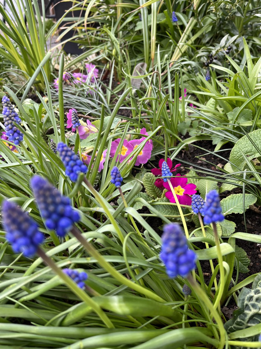 Mrs Smith's Cottage tweet media