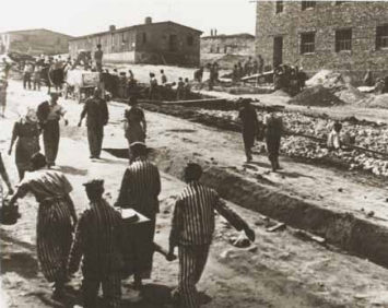 Institute of National Remembrance tweet media