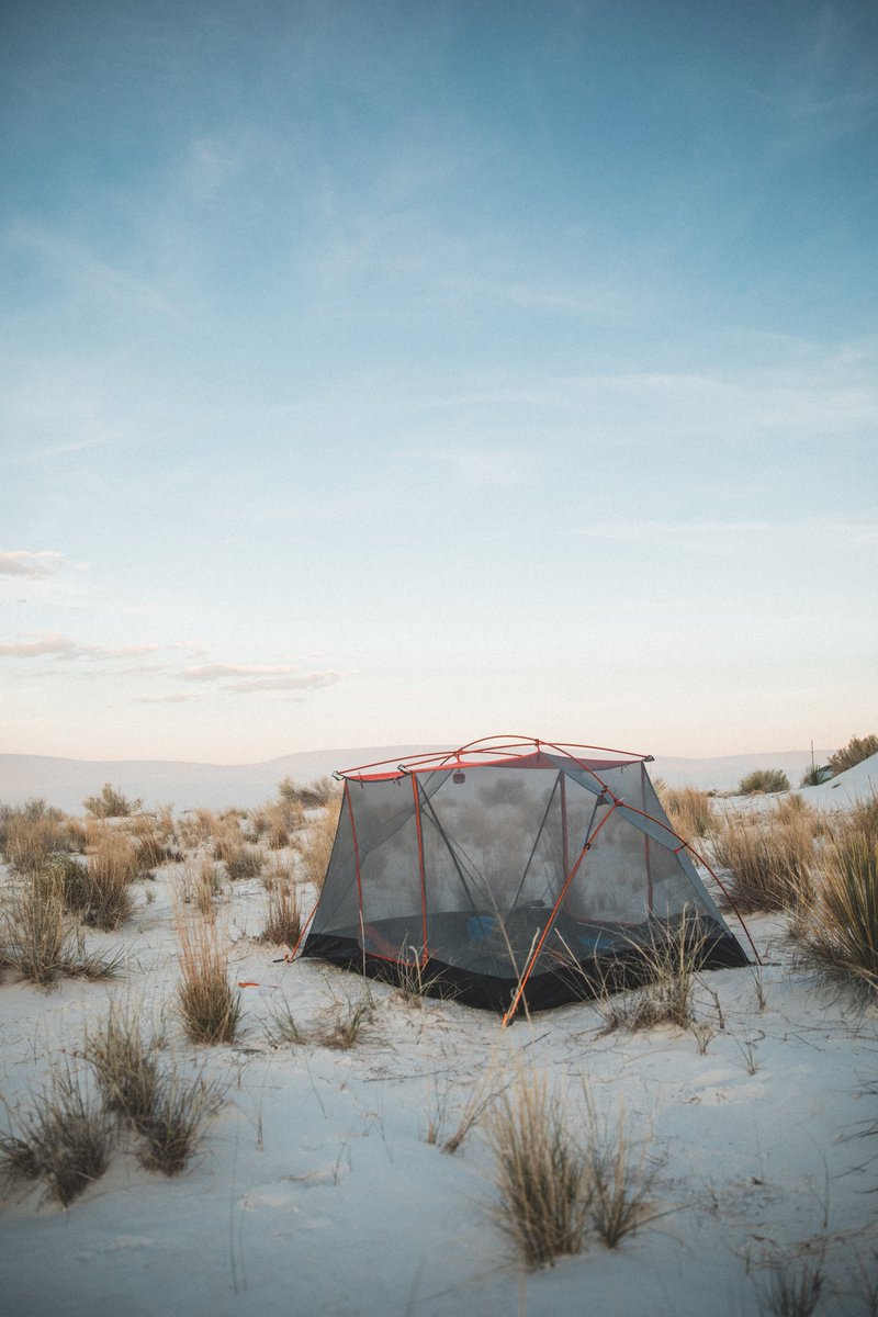 Chris Lang tweet media