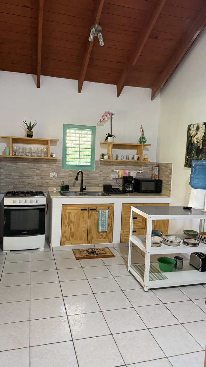 Demi l UGC Creator 🇨🇦 tweet media