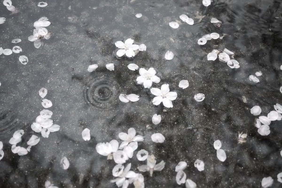 ˚ʚ♡ɞ˚ tweet media