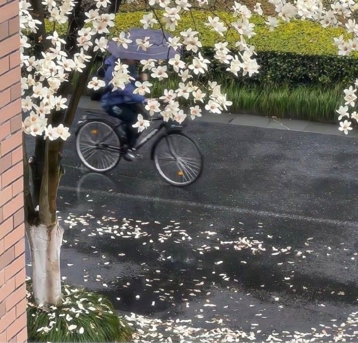 ˚ʚ♡ɞ˚ tweet media