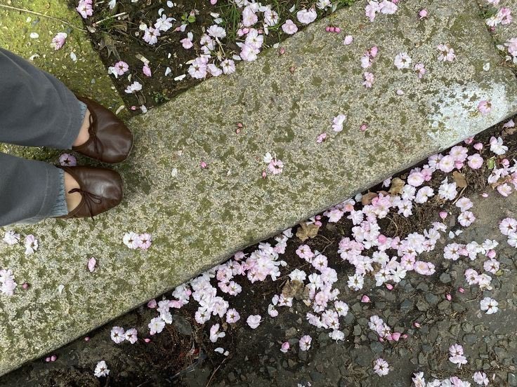 ˚ʚ♡ɞ˚ tweet media