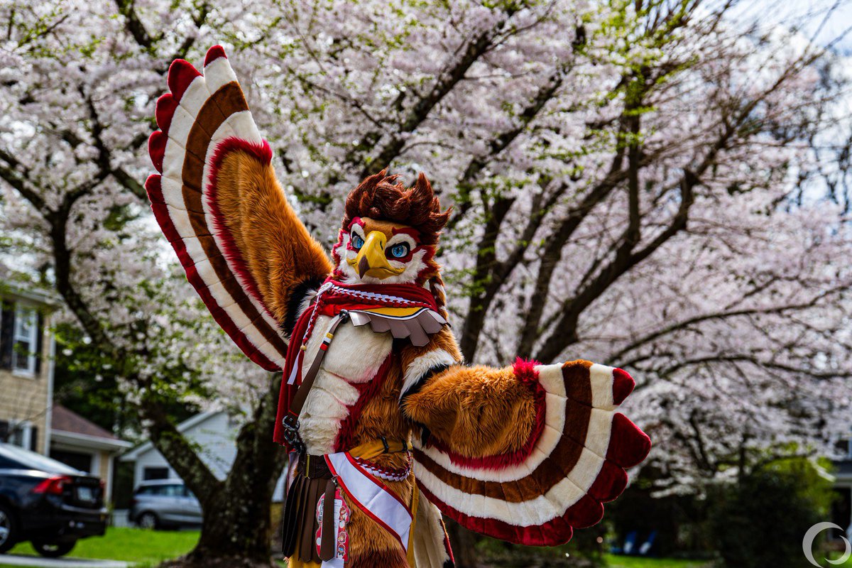 Champion Zane🪽🔜 TFF, FURG, FWA tweet media