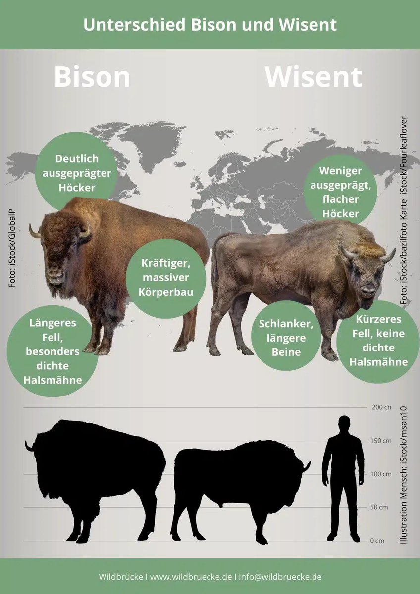 max kistler / tweet media