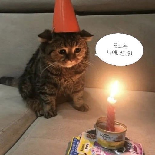 𝘽𝙊𝙆𝙄 tweet media