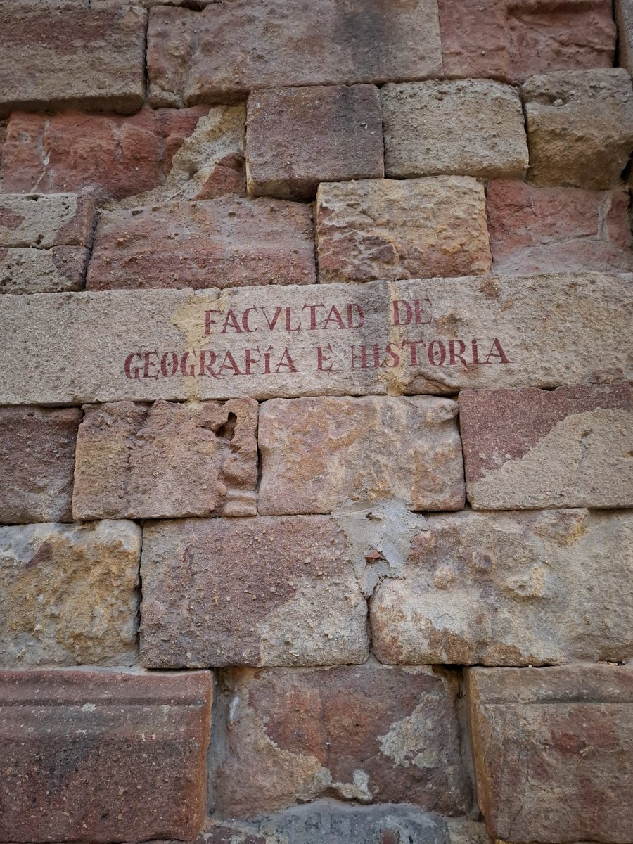 Herma🌿 tweet media