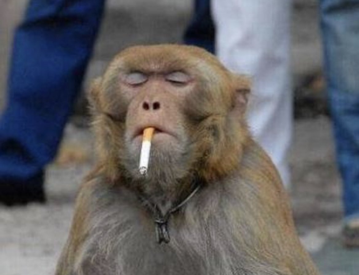 ₩₳Ɽ ₱₳₮Ⱨ tweet media