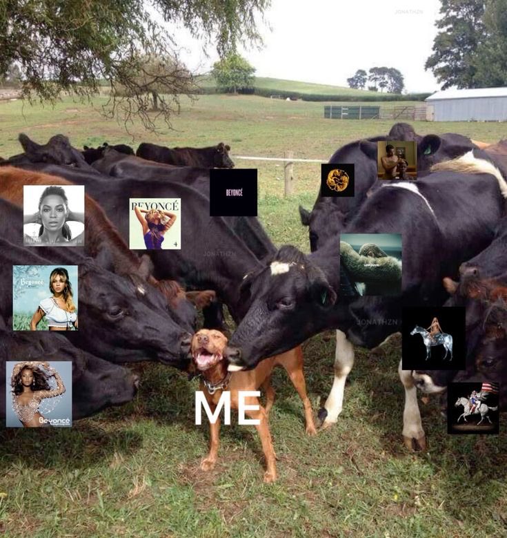 JONATHAN tweet media