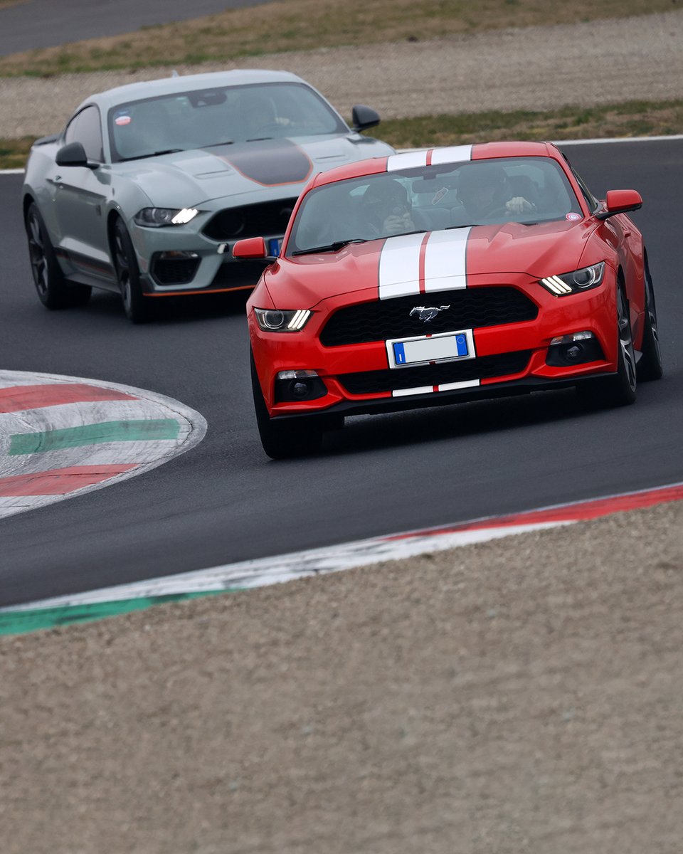 Autodromo_Monza's tweet photo. Are you ready to speed through the Temple?🏛️⚡️

Domenica 15 marzo all’Autodromo Nazionale Monza ti aspetta un nuovo Track Day. Non mancare, ci vediamo in pista!🚗💨

Info e orari 👉 https://t.co/qA9gaGtsMk 

#AutodromoNazionaleMonza #TheTempleOfSpeed #TrackDays https://t.co/j0oEDFrdzu