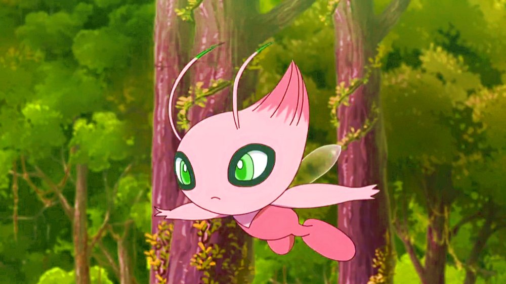 ✨️Celebi✨️ tweet media