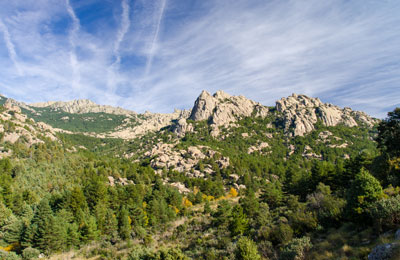 Miradas Viajeras tweet media