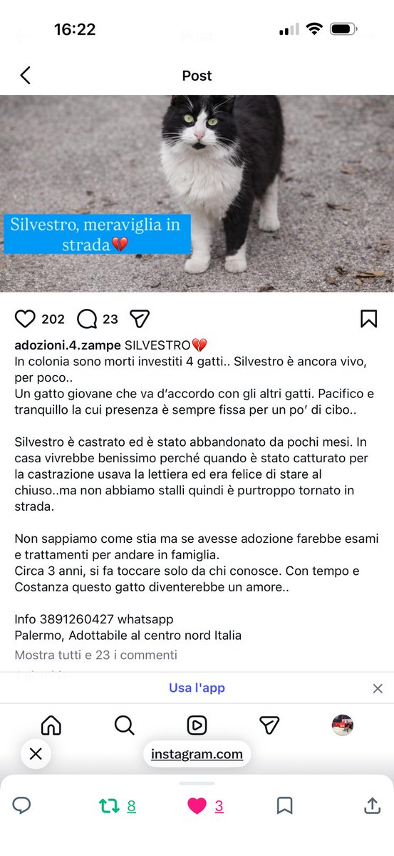 <a href="/brunamar14/">Bruna</a> <a href="/blu_mirtillo/">blu mirtillo 🎗</a> STRAURGENTISSIMO VIVE IN STRADA È IN PERICOLO AIUTO CONDIVIDETE🆘🆘🆘🆘🆘🆘🆘🆘🆘🆘🆘🆘🆘🆘🆘🆘🆘🆘🆘🆘🆘🆘🆘🆘🆘🆘🆘🆘🆘🆘🆘🆘🆘🆘🆘🆘🆘🆘🆘🆘🆘🆘🆘