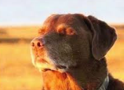 ellie ✞ tweet media