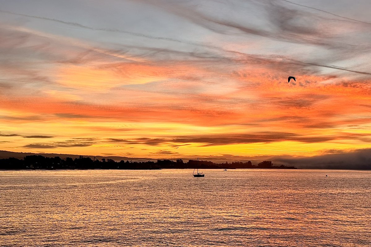 Native Santa Cruz tweet media