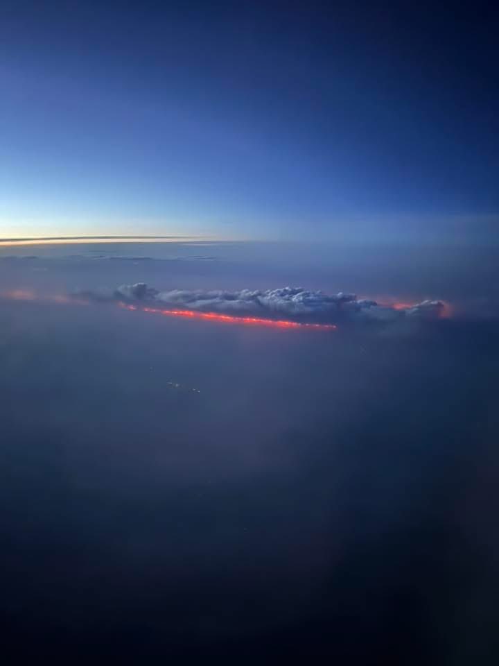 Kody Wilson tweet media