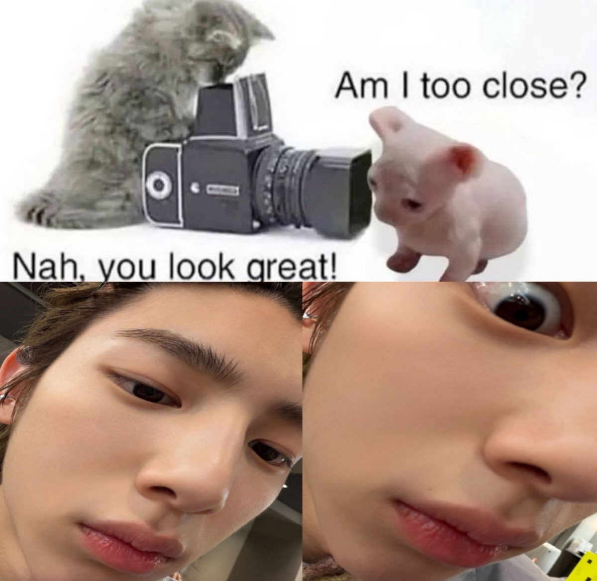 ria (@ku8mii) on Twitter photo 