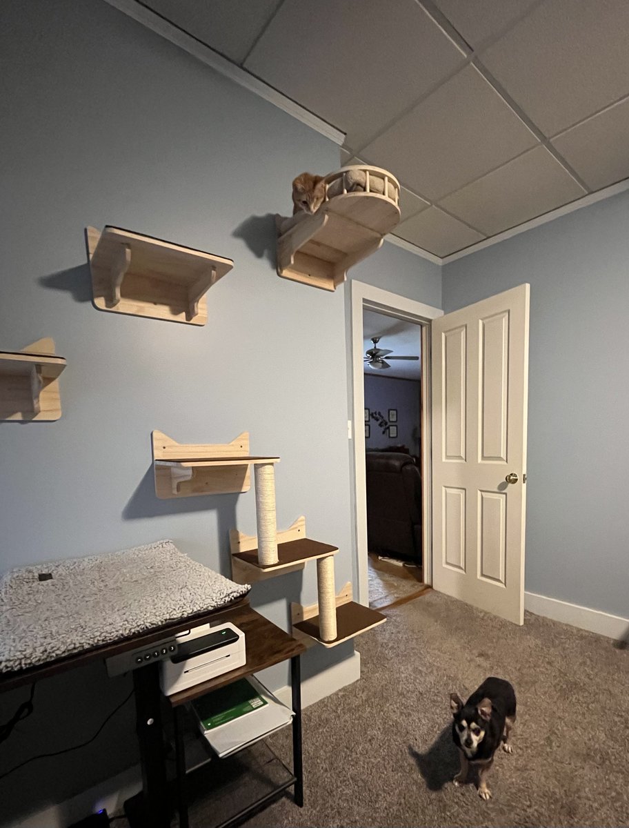 Claude Krause tweet media