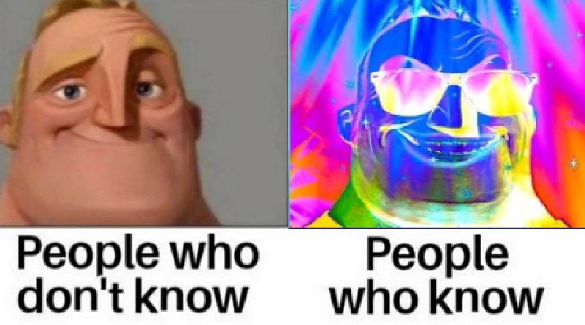 Bat Robbert & Sacred Turtle🧄🌳 tweet media