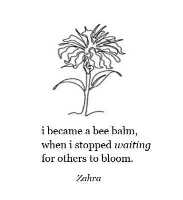 zaahrawrites's tweet photo. #thoughts #poetry #beebalm https://t.co/qkYQ2itoHr