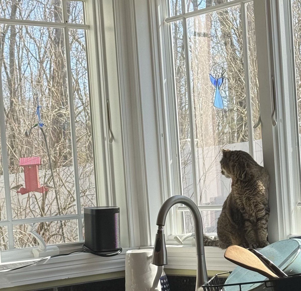 moppy :o) tweet media