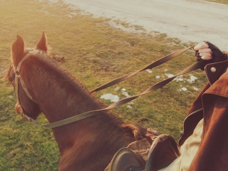 — Fᵢₙₐₗ Gᵢᵣₗ tweet media