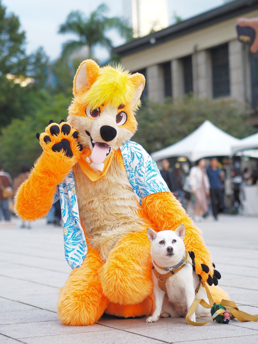 🌈橙色🐺UTFG🧳🍌 tweet media