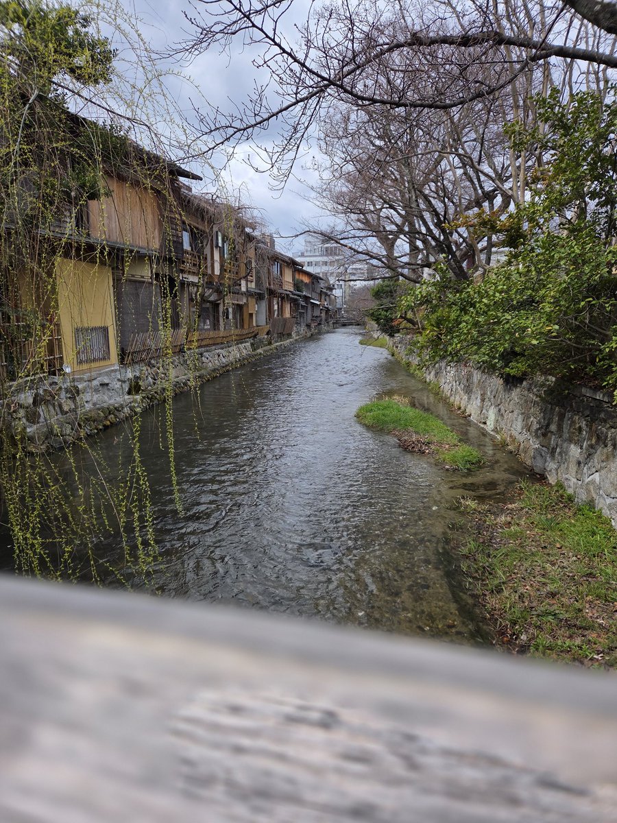 Azeria🦊🎆 tweet media