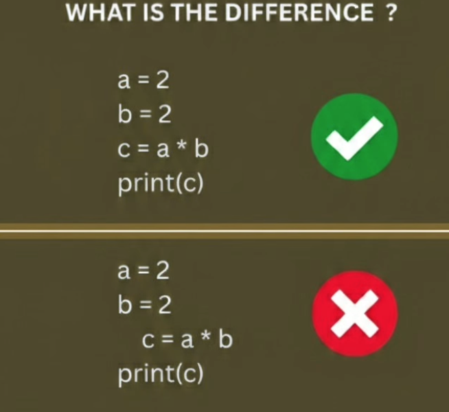 Python Programming tweet media