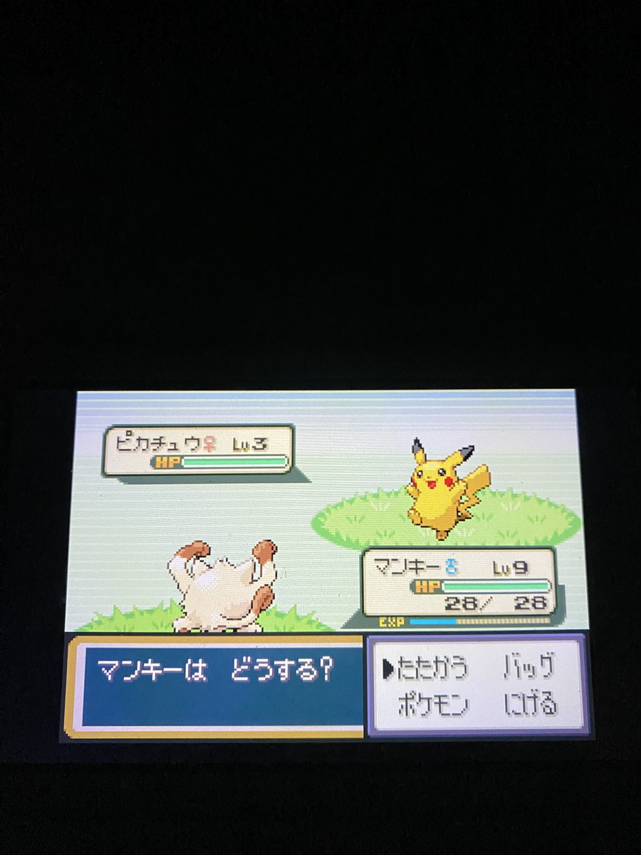 わりと早めにピカチュウ出た〜