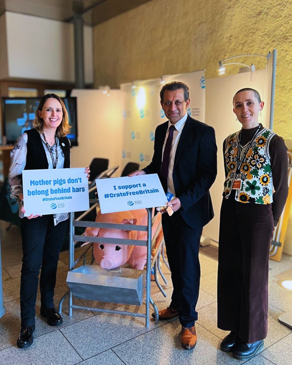 FoysolChoudhury's tweet photo. This week I met with @humaneworlduk to hear about their campaign to end the use of farrowing crates on pig farms across the United Kingdom.

You can learn more about the campaign here: https://t.co/zp9uWuWSi3 https://t.co/lXPuceQcGz