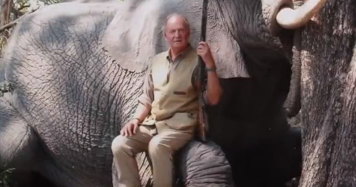 Luis Iglesias tweet media