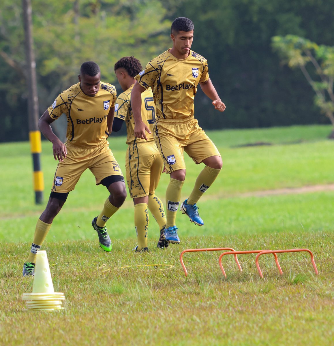 Atlético Fútbol Club tweet media