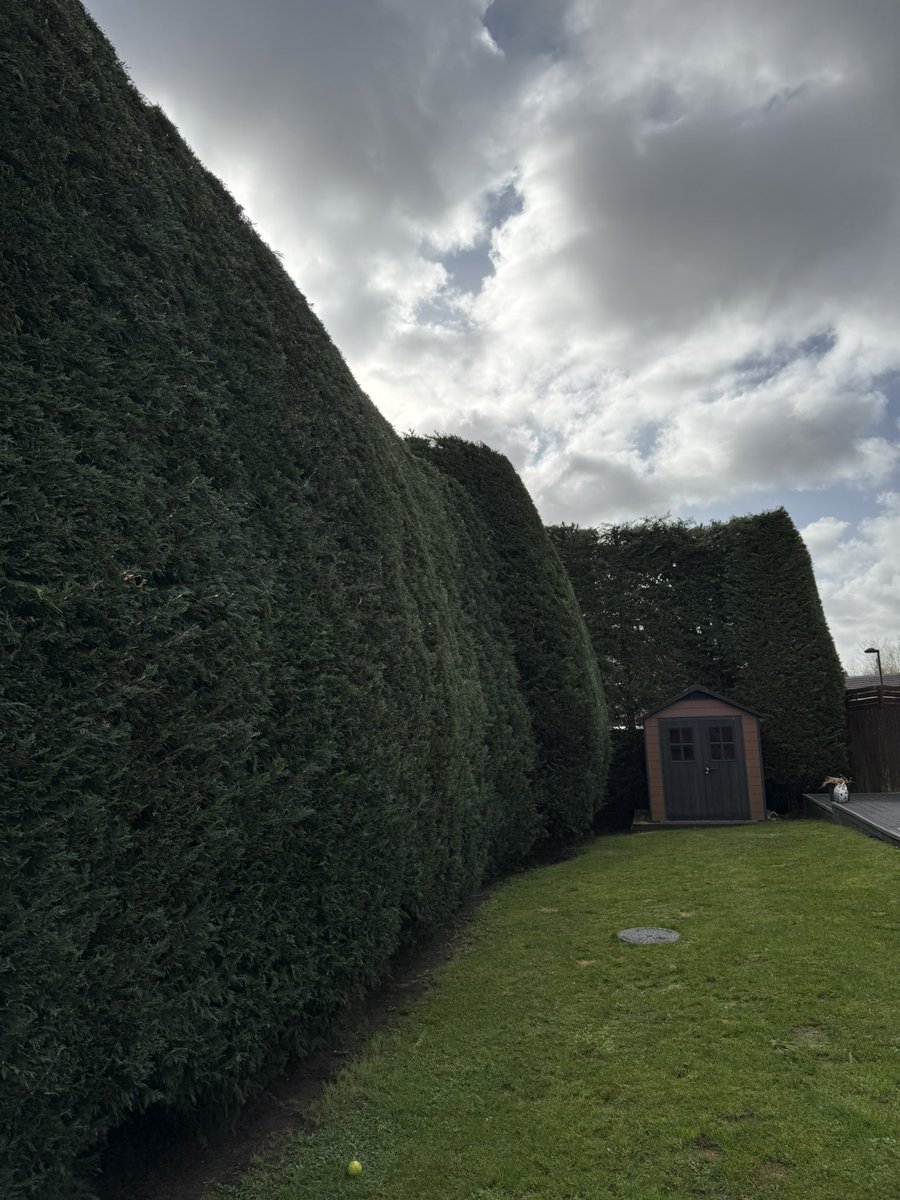 Jonathan fearick tweet media